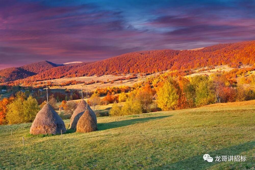 同一投标人存在多个违法行为的行政处罚思考|谈“招”论“标”-江苏鼎峻工程项目管理有限公司