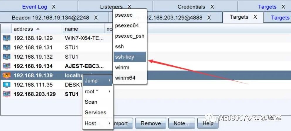 图20–如何利用CobalStrike进行批量上线？–seo优化_前端开发_渗透技术