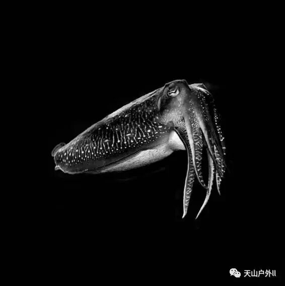 黑白极简主义摄影