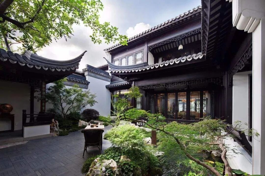 竹子护宅，香椿辟邪……你知道哪些植物能带来好运吗？