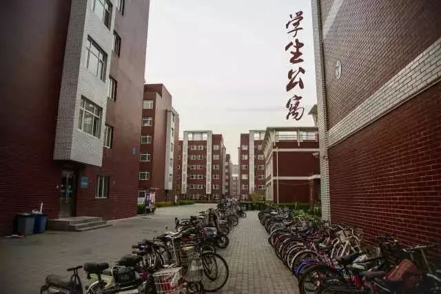 海滨学院_南开大学海滨学院_青岛海滨学院