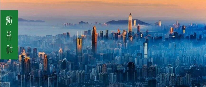 大疫水牛与刚性泡沫