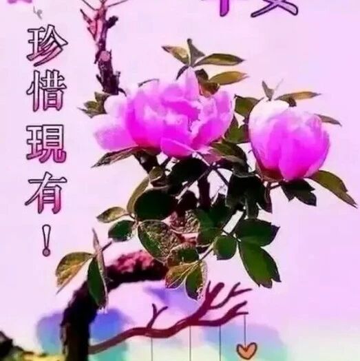 元宵节到了，致我最深爱的人，温暖祝福！