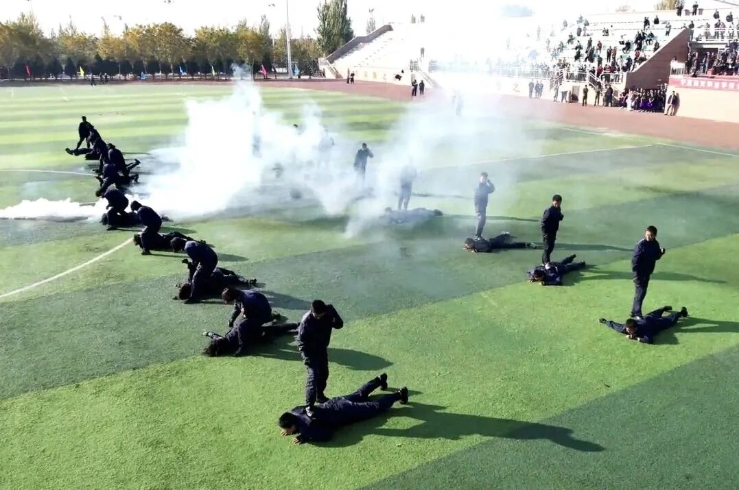 专业介绍丨法律事务(图9)