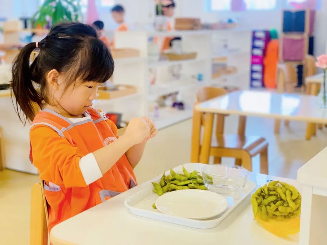不要让孩子上蒙氏班_班蒙氏孩子让要上幼儿园_蒙氏班后上小学