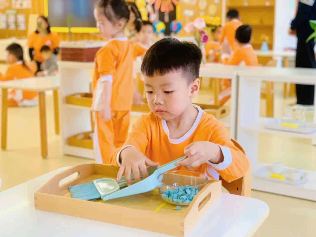 蒙氏班后上小学_不要让孩子上蒙氏班_班蒙氏孩子让要上幼儿园