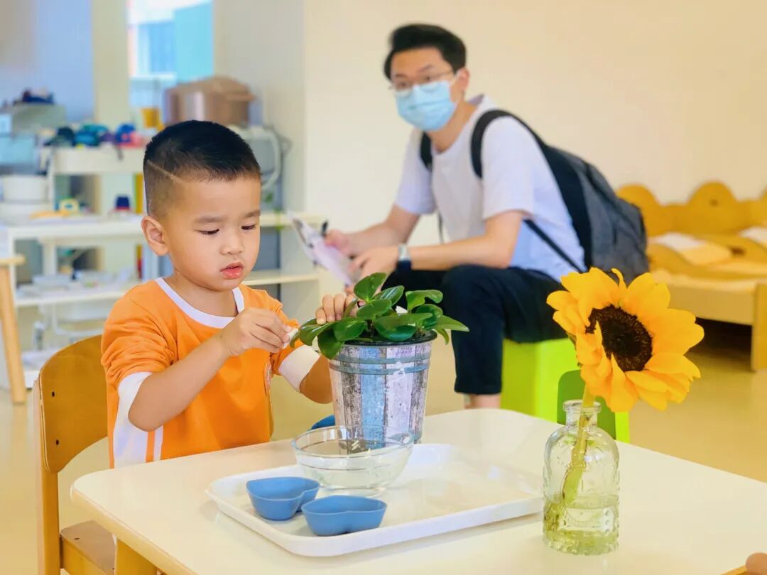 不要让孩子上蒙氏班_蒙氏班后上小学_班蒙氏孩子让要上幼儿园