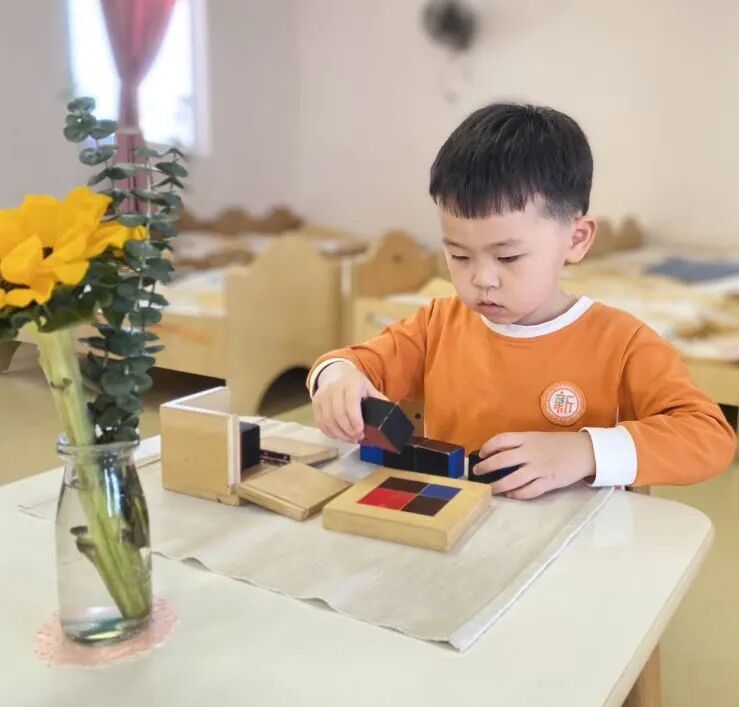 蒙氏班后上小学_不要让孩子上蒙氏班_班蒙氏孩子让要上幼儿园