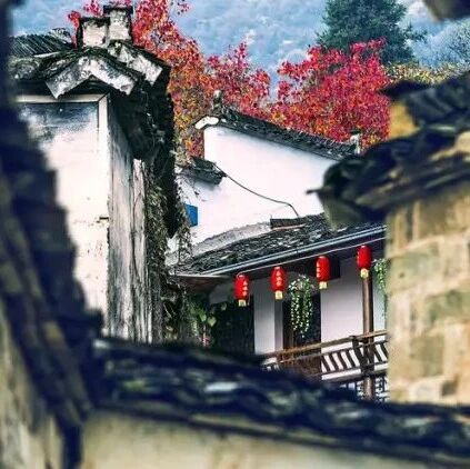 曾国藩：成事者，事不拖，话不多，人不作！