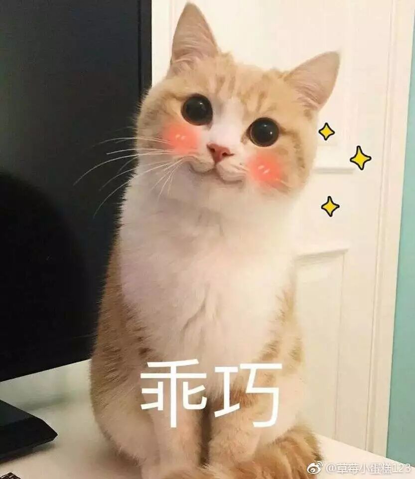 创业项目寻求技术合作_寻求创业项目_寻求养殖合作伙伴 项目全作信息