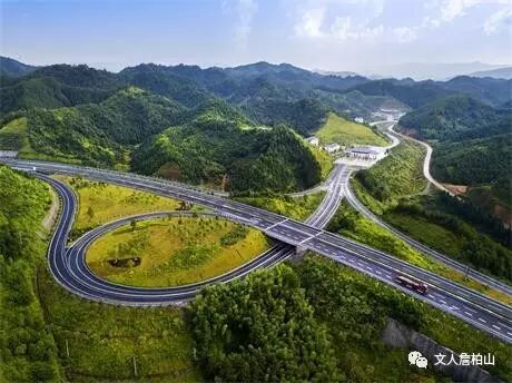 漳平市新桥镇"龙凤呈祥"经典案例