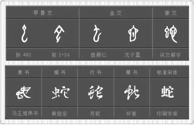 有画面的字6 毛 龙 虫 蛇 鸟 地老师 微信公众号文章阅读 Wemp