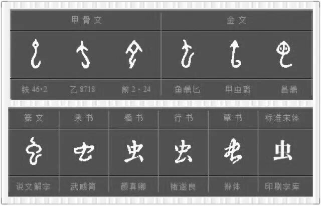 有画面的字6 毛 龙 虫 蛇 鸟 地老师 微信公众号文章阅读 Wemp