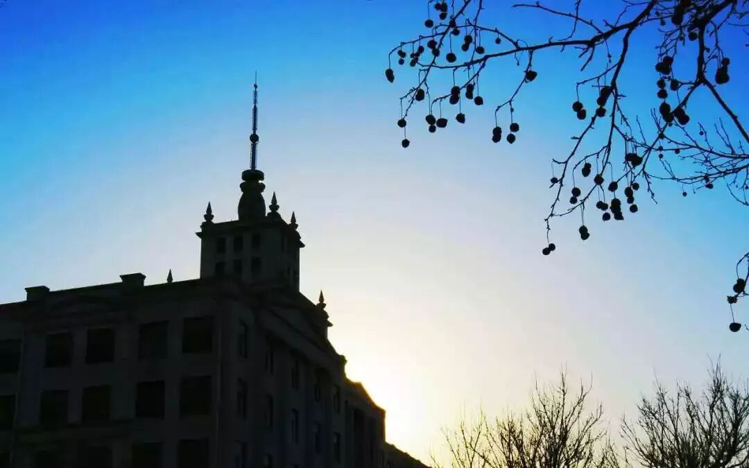 帮推 毕晚 忽而又夏 青春汽象 I海洋 微信公众号文章阅读 Wemp