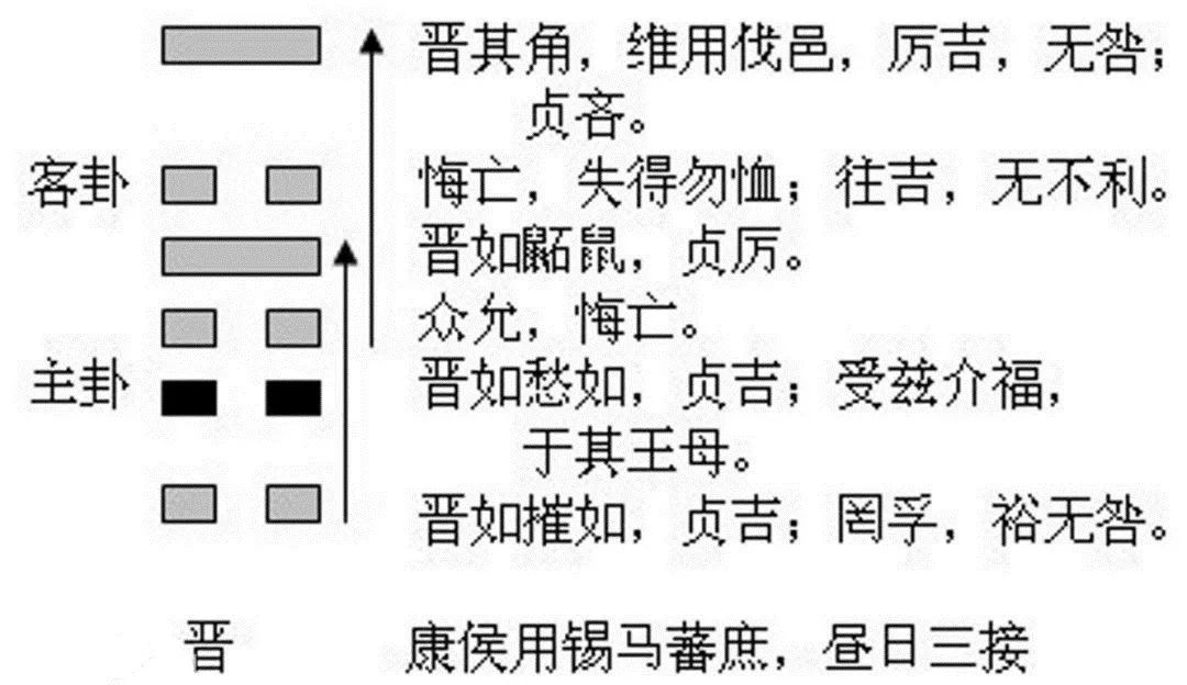 23岁属什么生肖_生肖属相配对表_生肖属性和五行属性表