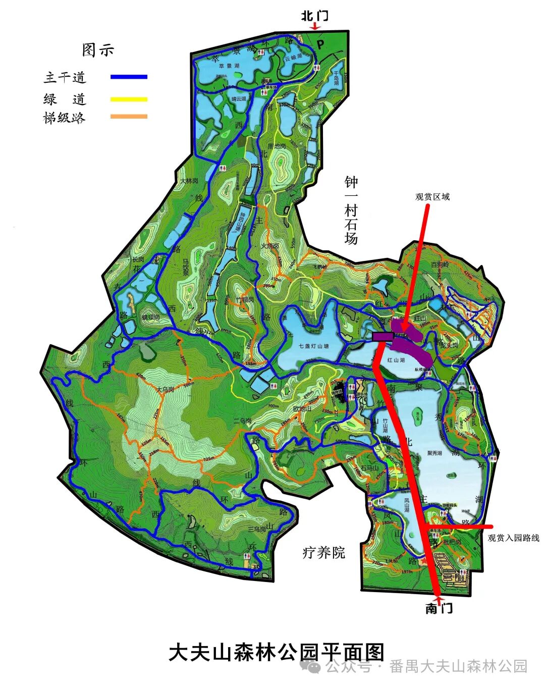 图源：“番禺大夫山森林公园”微信公众号