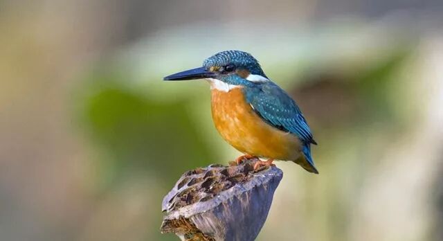 不要让包办式的“爱”，成为孩子成长的阻碍~