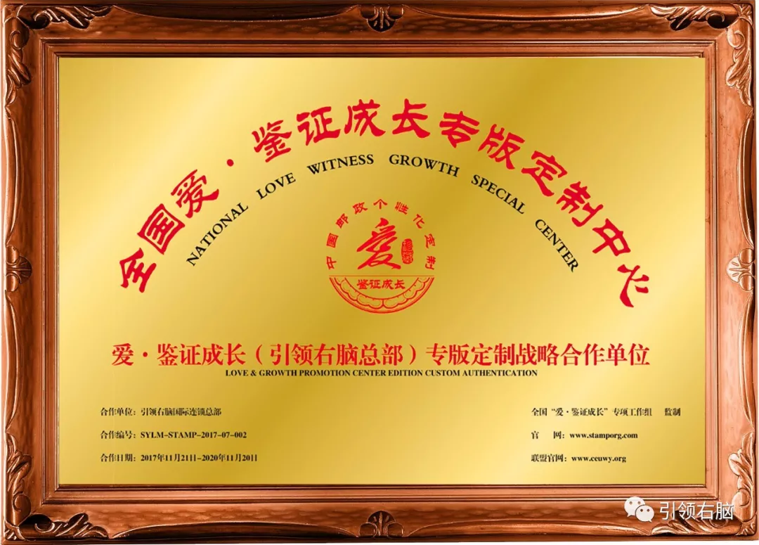 引领右脑