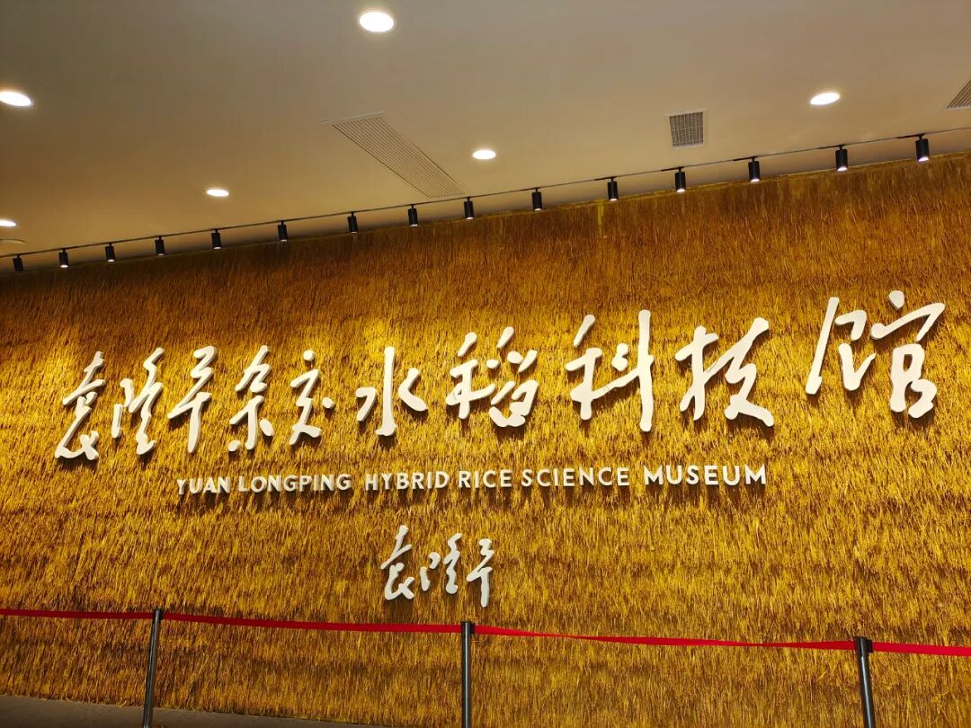 探索夏令營 | 探索古蜀國·夏令營【成都營】第二期招募啦！僅剩少量名額，預(yù)報從速！