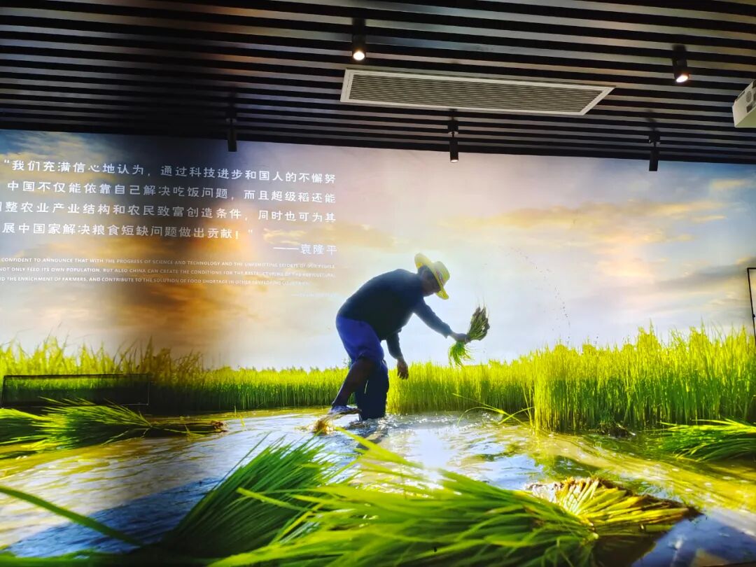 探索夏令營 | 探索古蜀國·夏令營【成都營】第二期招募啦！僅剩少量名額，預(yù)報從速！