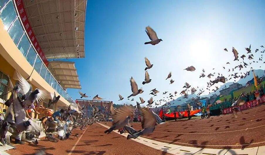 探索團(tuán)建 | “不忘初心 牢記使命”之紅色運(yùn)動會