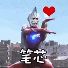 【七夕皮一夏】了解一下？