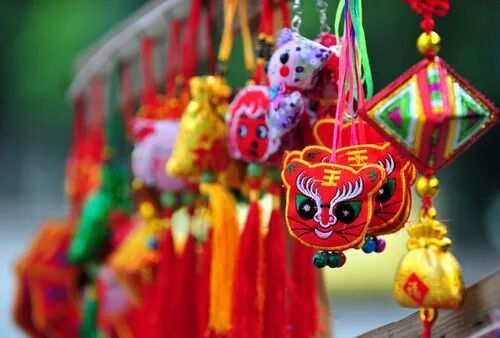 探索團建 | 粽情端午，乘風破浪！