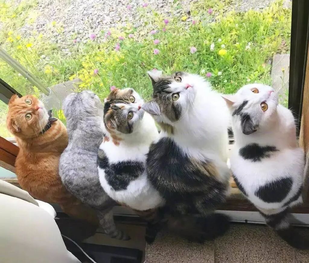 探索青年 | “王牌对王牌”你敢接受我的挑战吗？