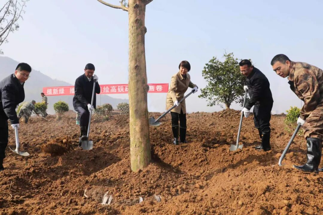 植新绿播希望共绘高铁时代新画卷县四套班子领导参加义务植树活动