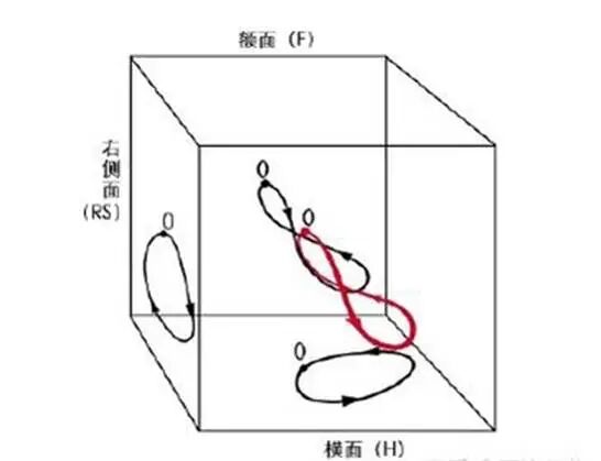 室性早搏的体表心电图定位