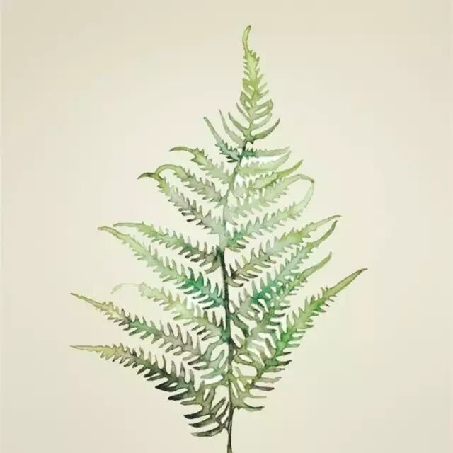 曲终未必人散，有情自会重逢