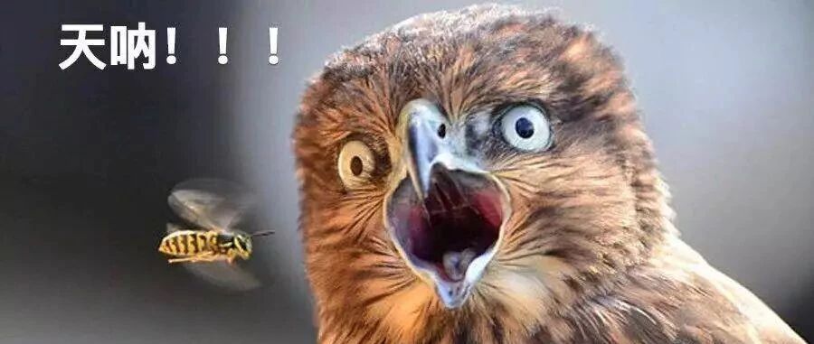 朋友圈发“深夜报复社会”，家长让我“立刻停止”，否则……