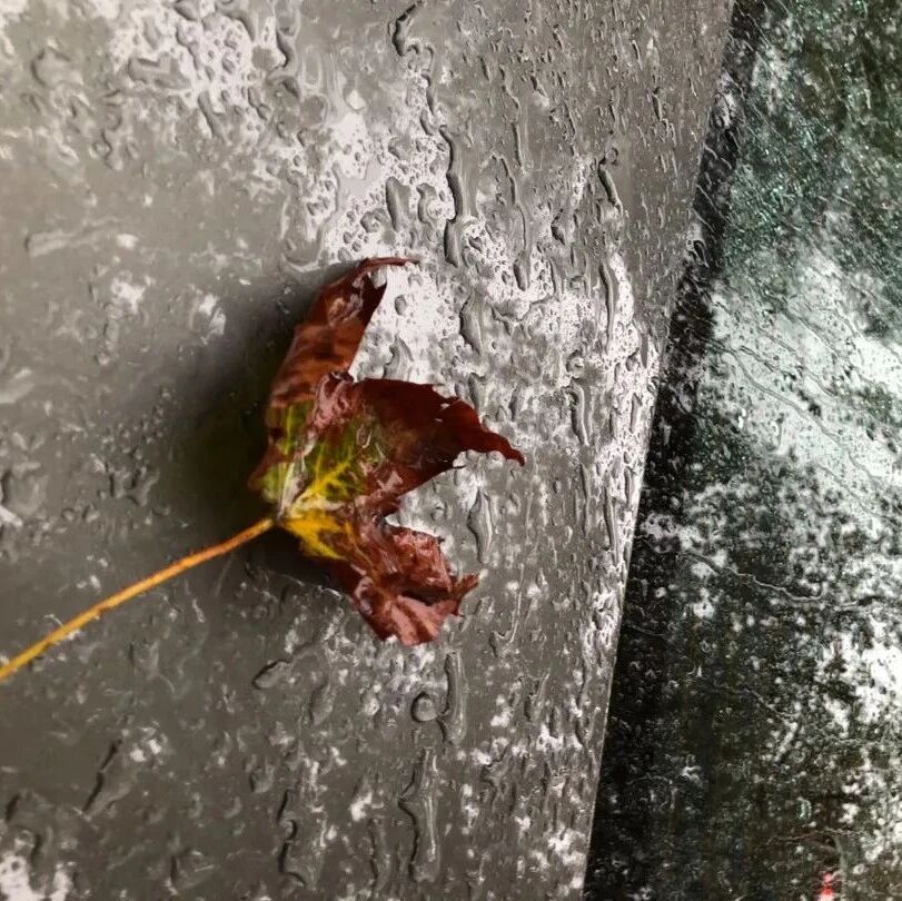 洗车等下雨，这事靠谱吗？