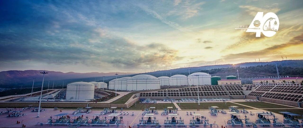 改革开放40年 | 大“成”无病灶 健康力由生