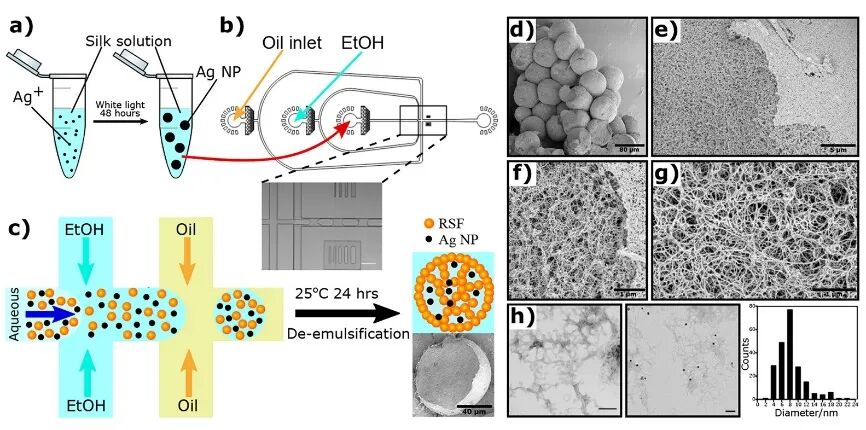 水凝胶伤口敷料怎么用让细菌无处遁形，让伤口安全愈合，一文带你看抗菌水凝胶敷料的设计策略_https://www.jmylbn.com_新闻资讯_第6张