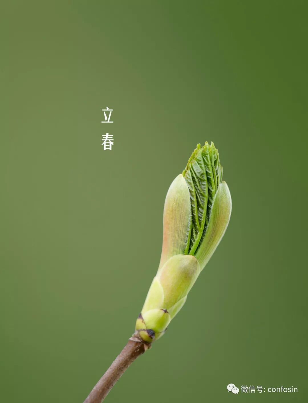 立春养生需要注意六原则