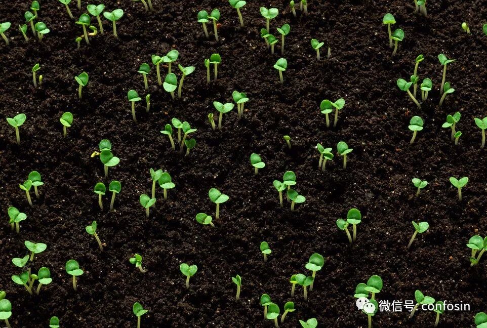 立春养生需要注意六原则