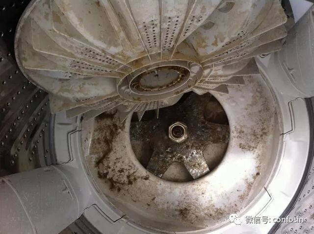 洗衣机5个月不清洗，细菌比厕所还恶心