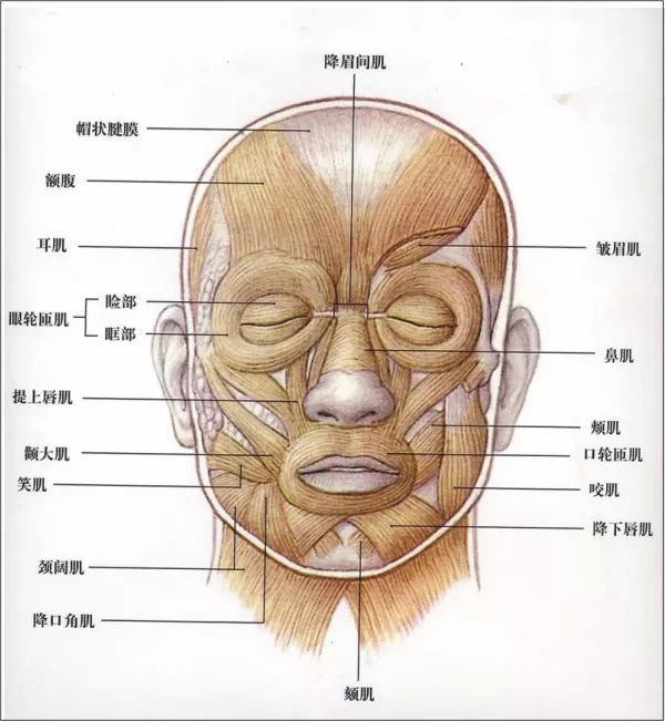 蔡依林張大大奕搶著