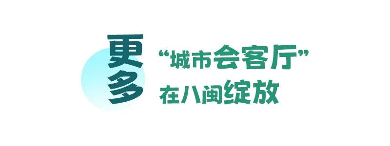 12.webp