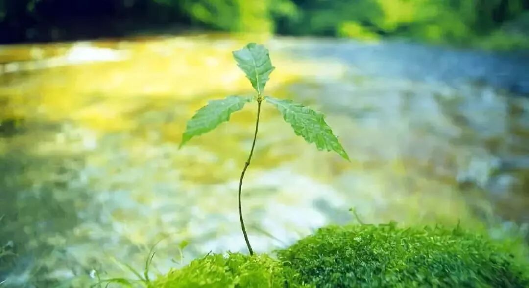 经络养生丨十二时辰养生法：告诉你疾病是哪个经络出了问题！