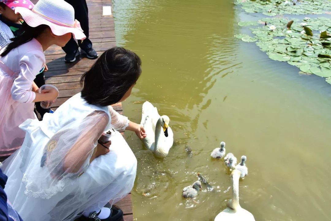 山东新开通一条高速，自泰安一路向南，串联临沂、枣庄，简直美哭……