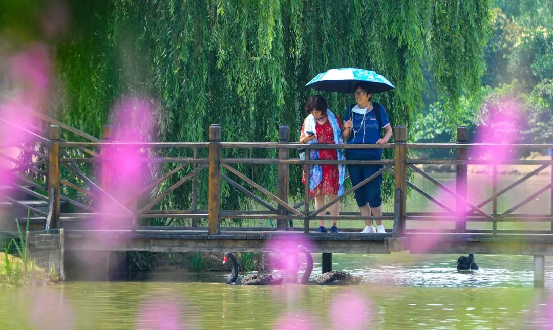 山东新开通一条高速，自泰安一路向南，串联临沂、枣庄，简直美哭……