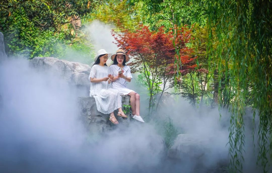 打卡“网红景点”好似人间仙境，台儿庄古城带你清凉一夏