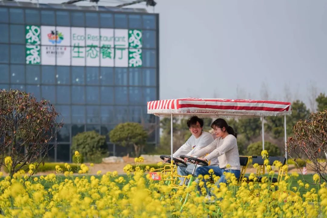 清明假期丨走进台儿庄古城祥和庄园,走进慢天地 清明假期丨走进台儿庄古城祥和庄园,走进慢天地