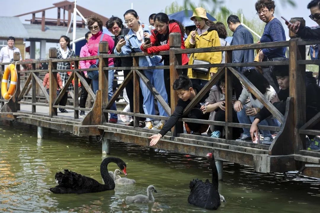 春天的双龙湖:铺陈迷人的春游画卷 春天的双龙湖:铺陈迷人的春游画卷