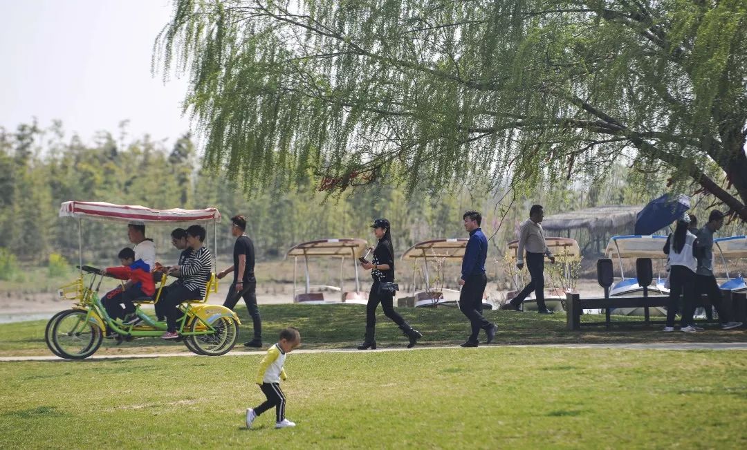 春天的双龙湖:铺陈迷人的春游画卷 春天的双龙湖:铺陈迷人的春游画卷