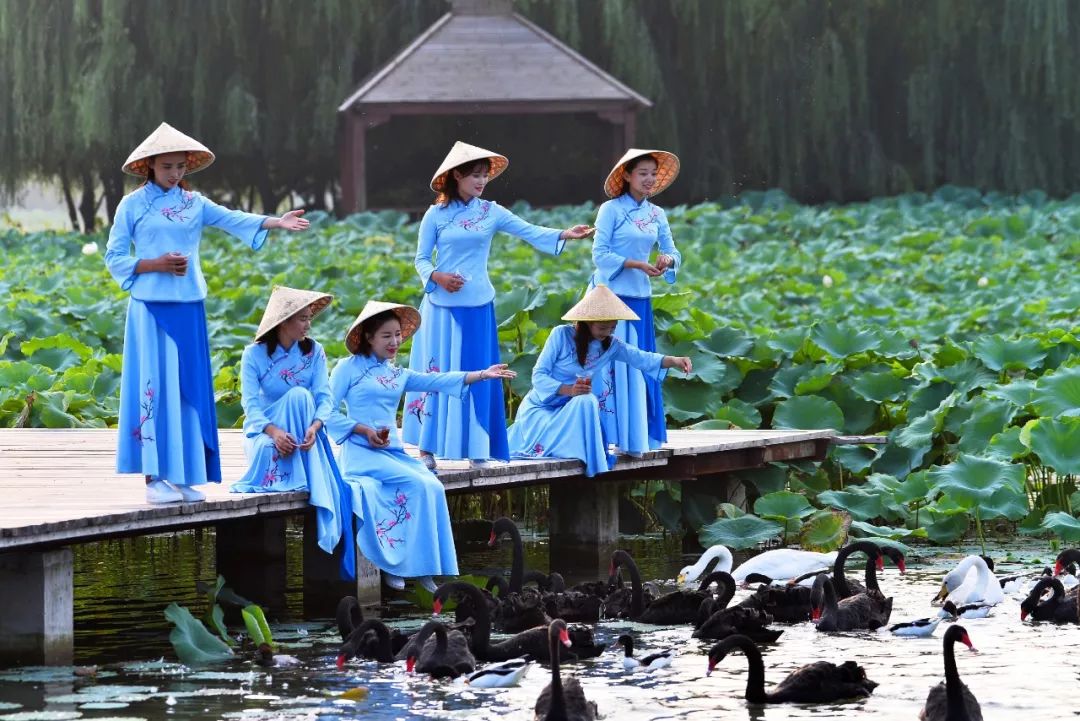 这个五一，“国风”席卷台儿庄古城，这份最全旅游攻略送给你