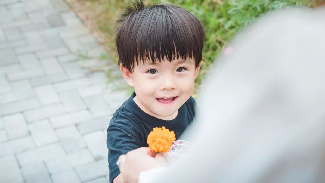 清明好时节·花香满中国 | 央视四套报道:台儿庄双龙湖湿地观鸟园春之盛景! 清明好时节·花香满中国 | 央视四套报道:台儿庄双龙湖湿地观鸟园春之盛景!