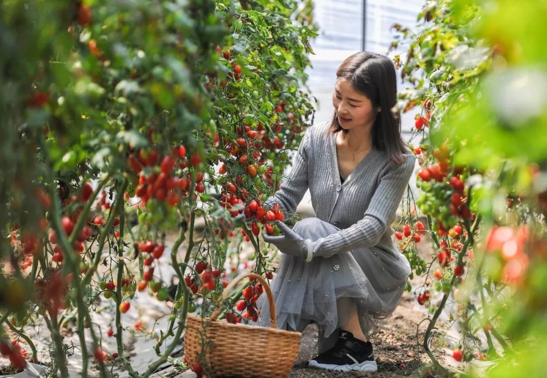美景与佳肴齐享丨祥和庄园的休闲慢时光 美景与佳肴齐享丨祥和庄园的休闲慢时光